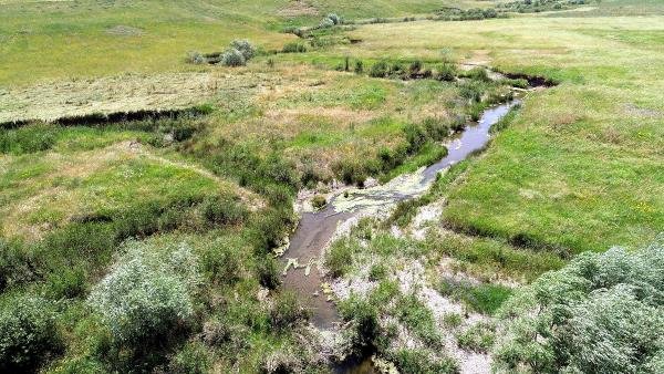 Leyla'yı öldürdükten sonra soğuk ortamda tutmuşlar