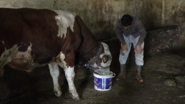 Muş'ta LGS birincisi çocuğun zorlu yaşamı