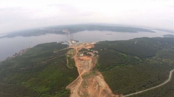 İstanbul'da kesilen milyonlarca ağacın yeri boş