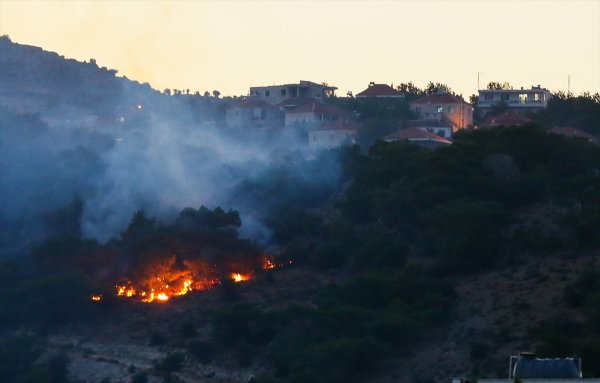 İzmir'de orman yangını