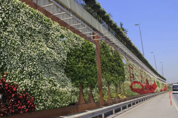 İstanbul'da kesilen milyonlarca ağacın yeri boş