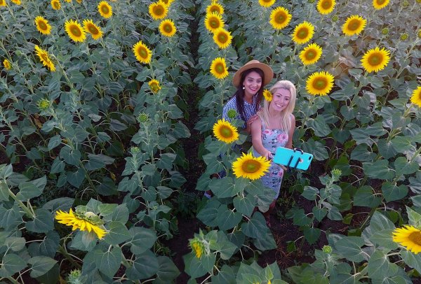 a Edirne'de fotoğraf tutkunları tarlalara koşuyor