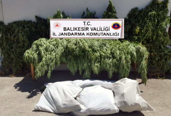 i Balıkesir’de 23 kilo esrar ele geçirdi