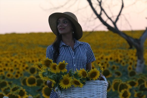 a Edirne'de fotoğraf tutkunları tarlalara koşuyor