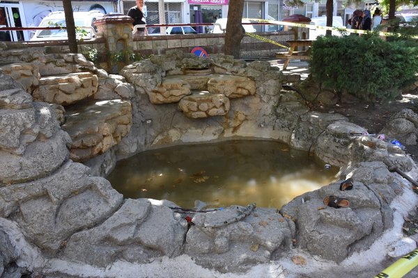 Süs havuzuna giren çocuklar hastanelik oldu