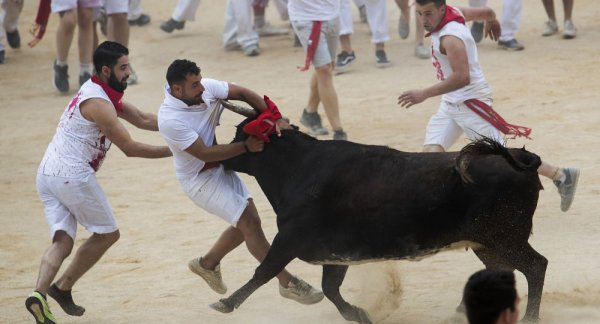 İspanya'da geleneksel boğa festivali başladı