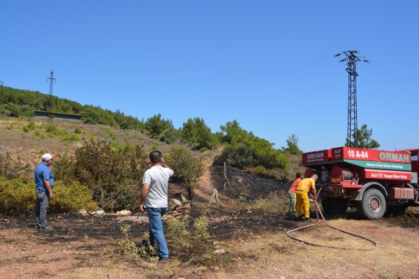 Cunda Adası’nda korkutan yangın