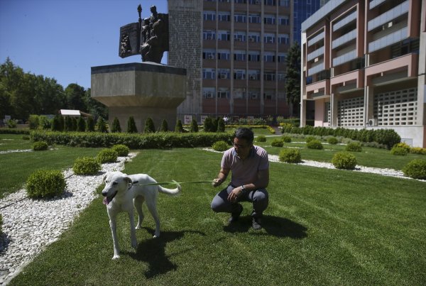 a Pergel'e bakanlığın bahçesinde bakılıyor