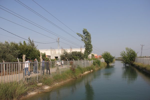 i Ağaç budamak isterken canından oldu