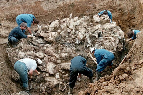 Srebrenitsa Katliamı'nın 24. yılı