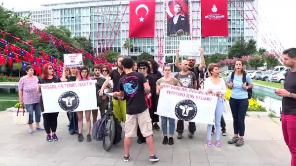 Adalar'daki faytonlar için İBB önünde protesto düzenlendi