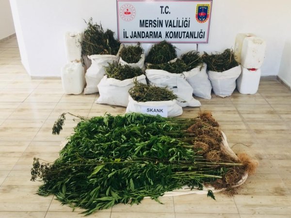 Mersin'de 40 kilo esrar yakalandı