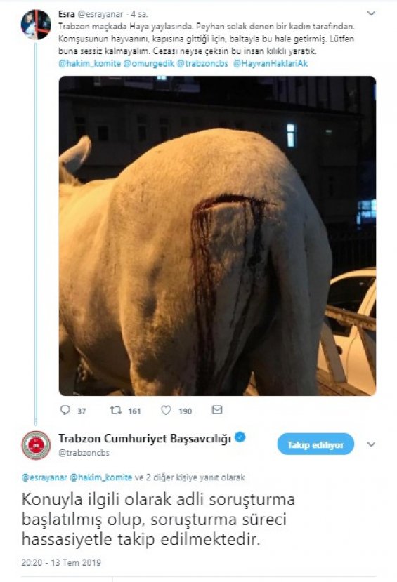 Eşeği yaralayan kadın için soruşturma açıldı