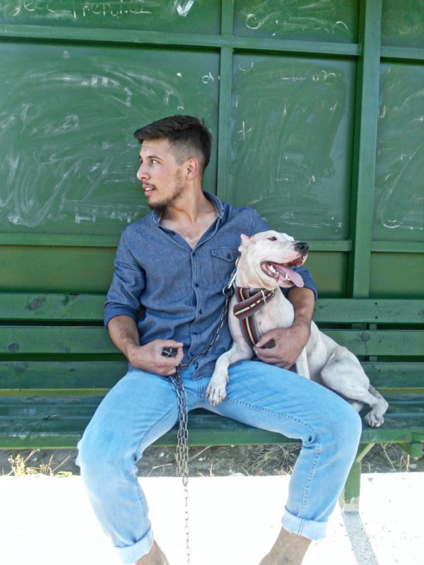 i Osmaniye'de akarsuda boğulan köpek kurtarılamadı