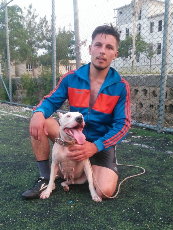 i Osmaniye'de akarsuda boğulan köpek kurtarılamadı