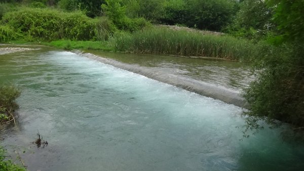 i Osmaniye'de akarsuda boğulan köpek kurtarılamadı