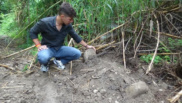 i Osmaniye'de akarsuda boğulan köpek kurtarılamadı