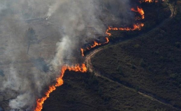 Portekiz'de orman yangını