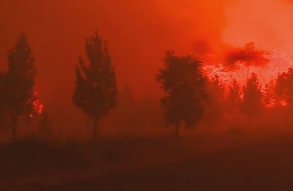 Portekiz'de orman yangını