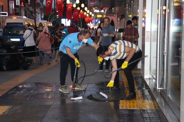 Trabzon’da caddeyi saran kakalaklar ilaçlandı