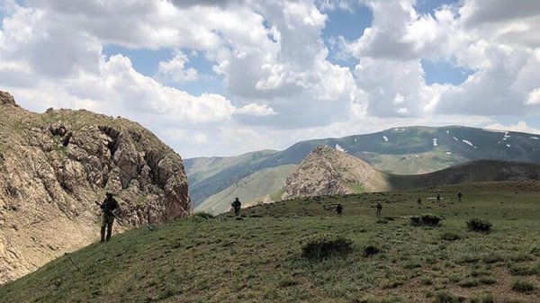 Van'da biri gri kategoride 2 terörist teslim oldu