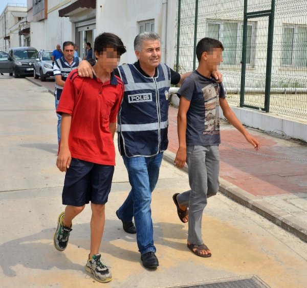 i Hamile kediyi pitbulla parçalatan çocukların ifadesi