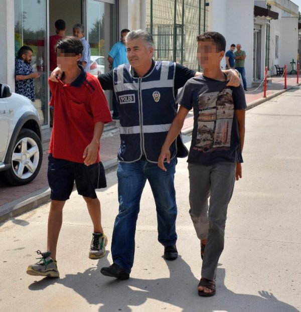 i Hamile kediyi pitbulla parçalatan çocukların ifadesi