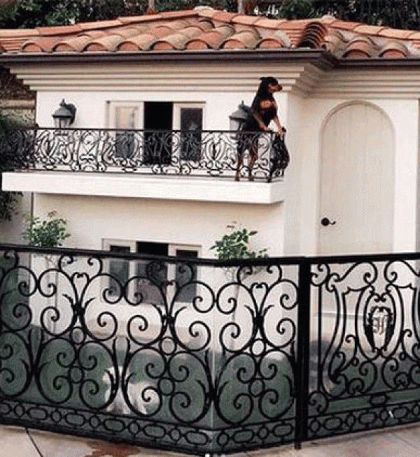 Paris Hilton köpeklerine malikane yaptırdı