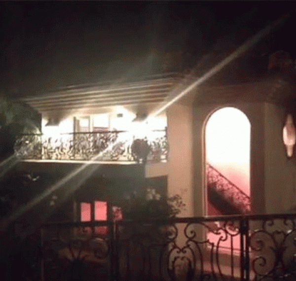 Paris Hilton köpeklerine malikane yaptırdı