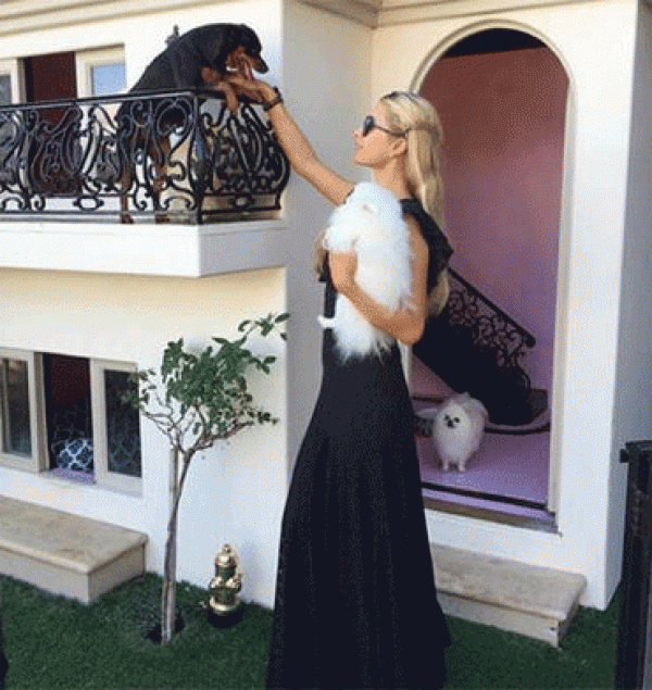 Paris Hilton köpeklerine malikane yaptırdı