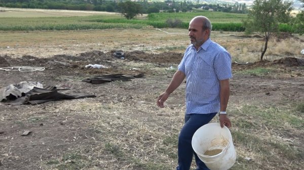 Kırıkkale'de hırsızlar 40 kurbanlık koç çaldı