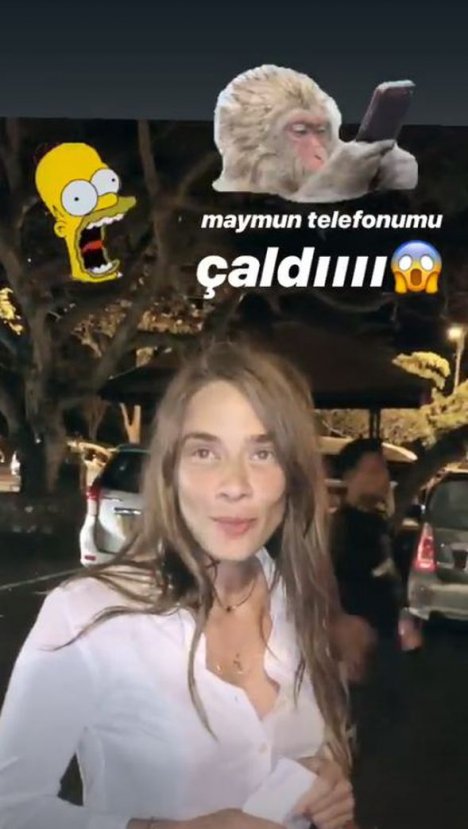 Maymun, Müge Boz'un telefonunu çaldı