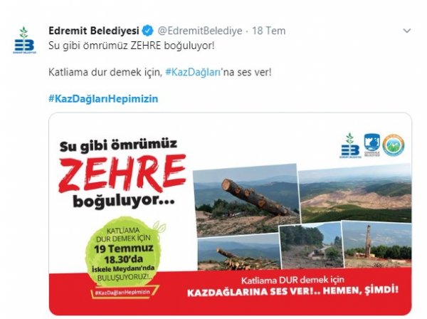 Kaz Dağları'ndaki altın madeni için yapılan ağaç katliamı