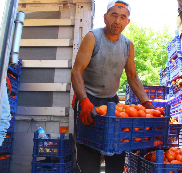 Aydın'da her gün 40 ton taşıyan hamalların günlüğü 150 TL