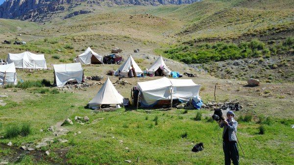 Kato Dağı, teröristlerden temizlendi