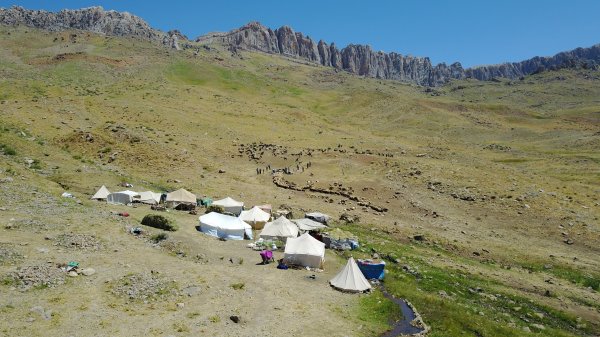 Kato Dağı, teröristlerden temizlendi