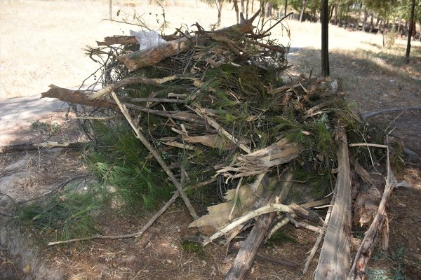 HDP'li Batman Belediyesi 170 ağacı katletti