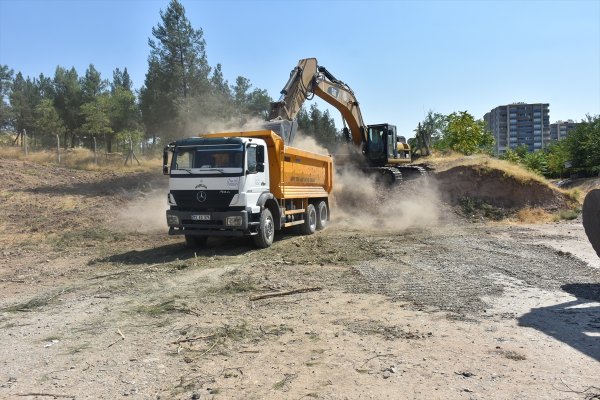 HDP'li Batman Belediyesi 170 ağacı katletti
