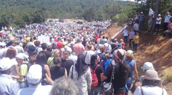 Kaz Dağları'nda ağaç katliamına karşı eylem