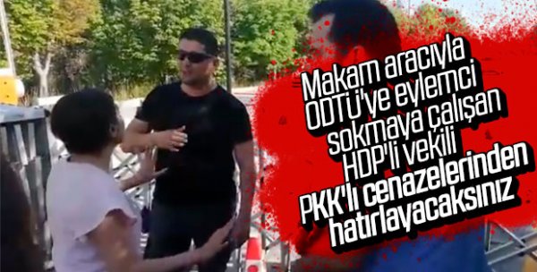 HDP'li Batman Belediyesi 170 ağacı katletti