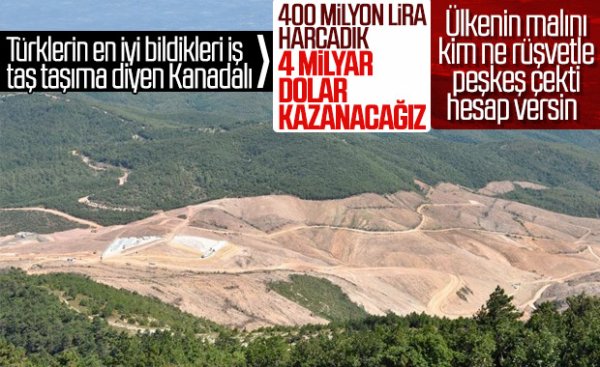 Kanadalı şirketin raporunda ağaç dikme yok