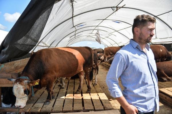 d Hayvan pazarında arife günü hareketliliği