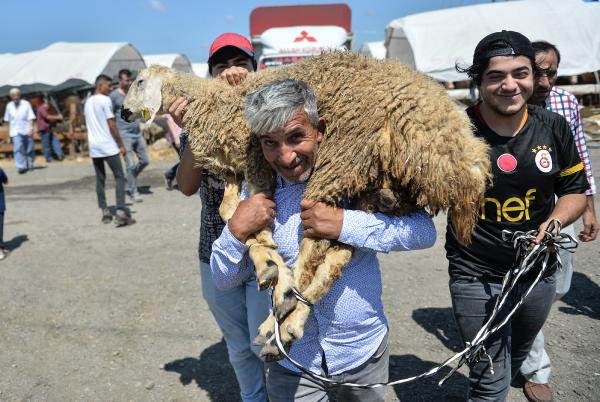 d Hayvan pazarında arife günü hareketliliği