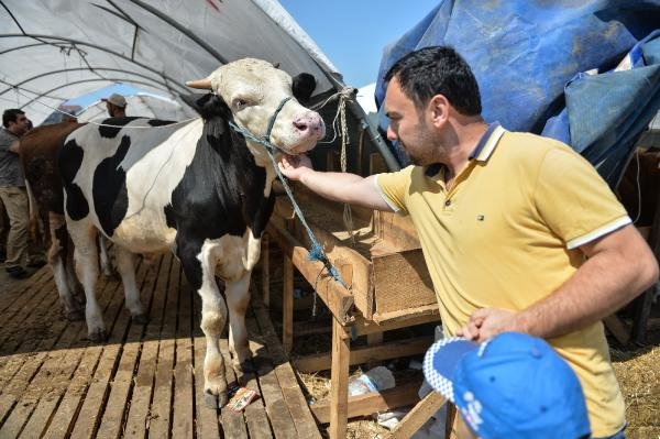 d Hayvan pazarında arife günü hareketliliği