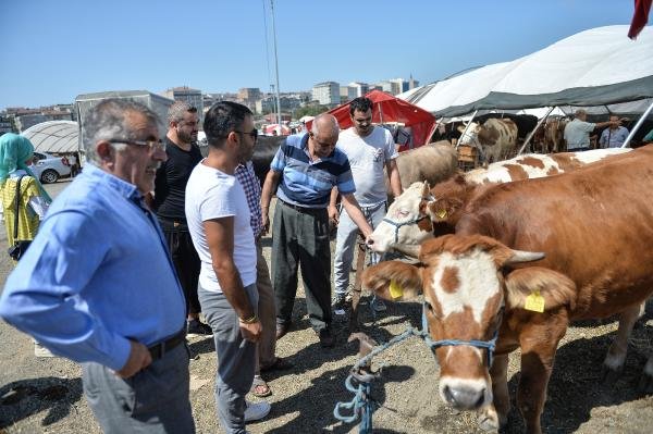 d Hayvan pazarında arife günü hareketliliği