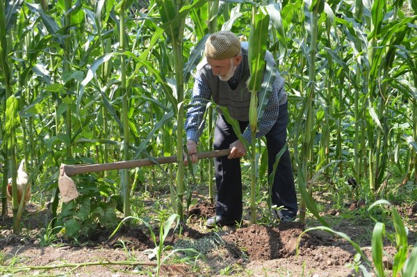 a 104 yaşındaki Mustafa Dede'den gençlik sırları