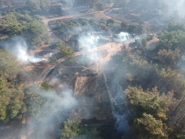i Tarihi Gelibolu yarımadasında orman yangını
