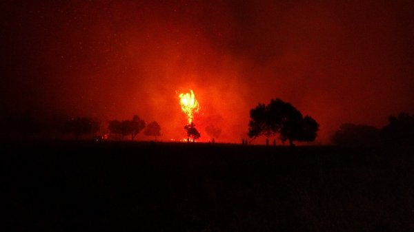 i Tarihi Gelibolu yarımadasında orman yangını