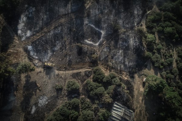 a Tarihi Gelibolu yarımadasında orman yangını