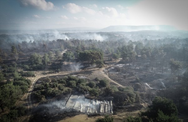 a Tarihi Gelibolu yarımadasında orman yangını